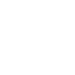 Circle Lines Grey